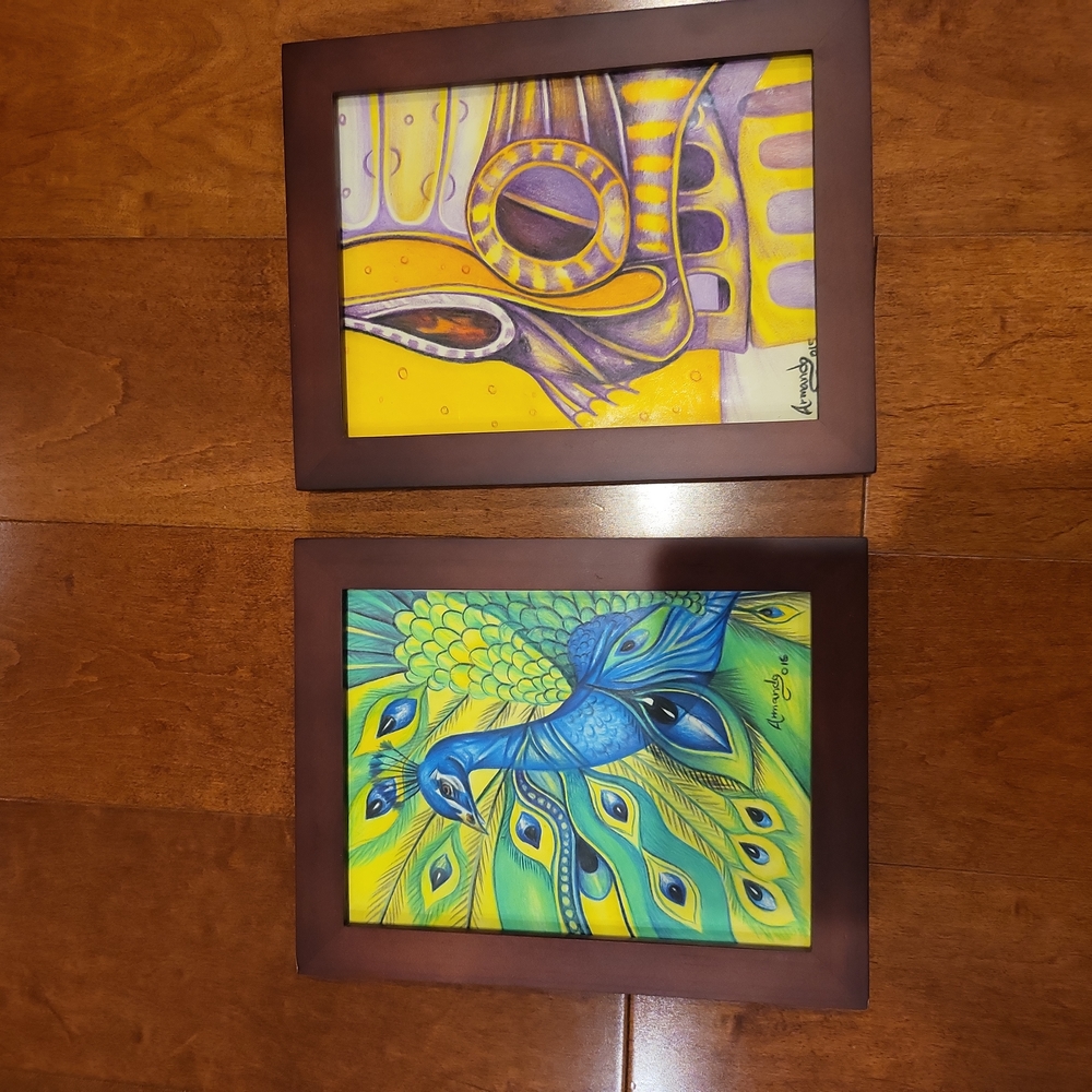 Two Color Pencil Paintings Framed